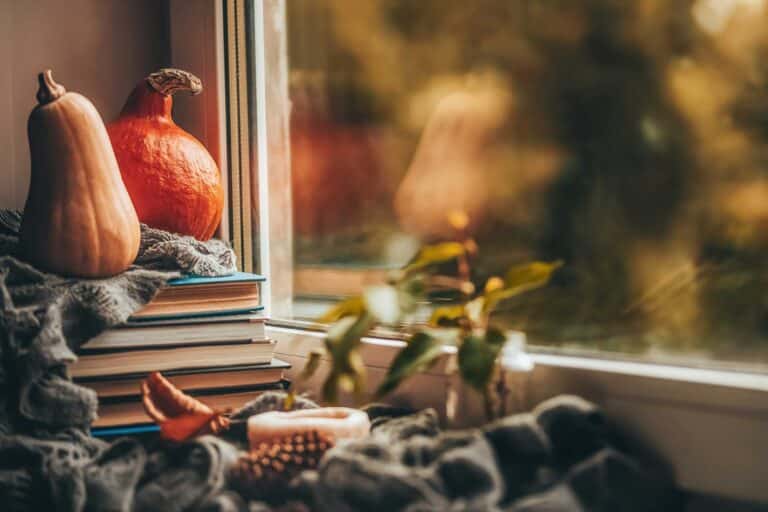 Die Kunst der Glasreinigung: Ein klarer Blick auf den Herbst in München