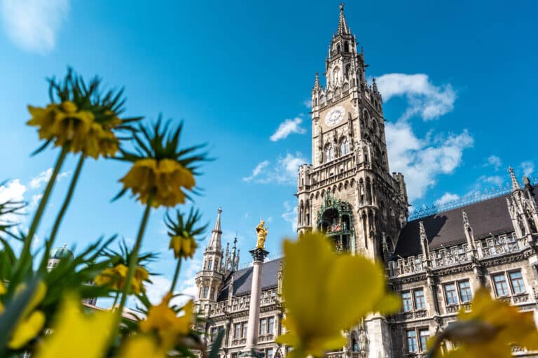 Frühjahrsputz in München: So bereiten Sie Ihr Büro auf den Frühling vor